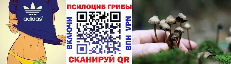 omg ТОР  Райчихинск  Галлюциногенные грибы ЛСД  цены наркотик 